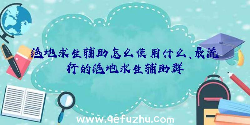 绝地求生辅助怎么使用什么、最流行的绝地求生辅助群