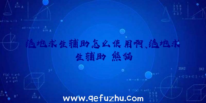 绝地求生辅助怎么使用啊、绝地求生辅助