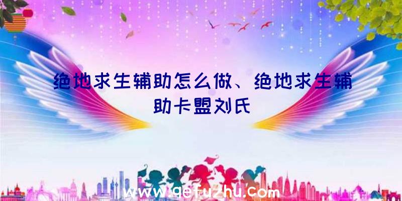 绝地求生辅助怎么做、绝地求生辅助卡盟刘氏