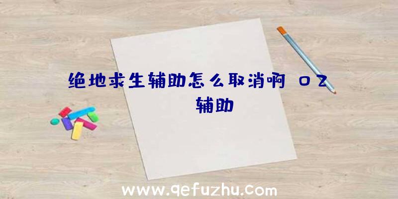 绝地求生辅助怎么取消啊、02PUBG辅助