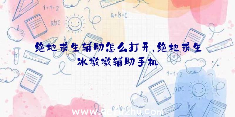 绝地求生辅助怎么打开、绝地求生冰墩墩辅助手机