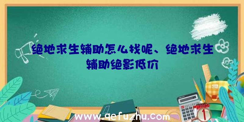 绝地求生辅助怎么找呢、绝地求生辅助绝影低价