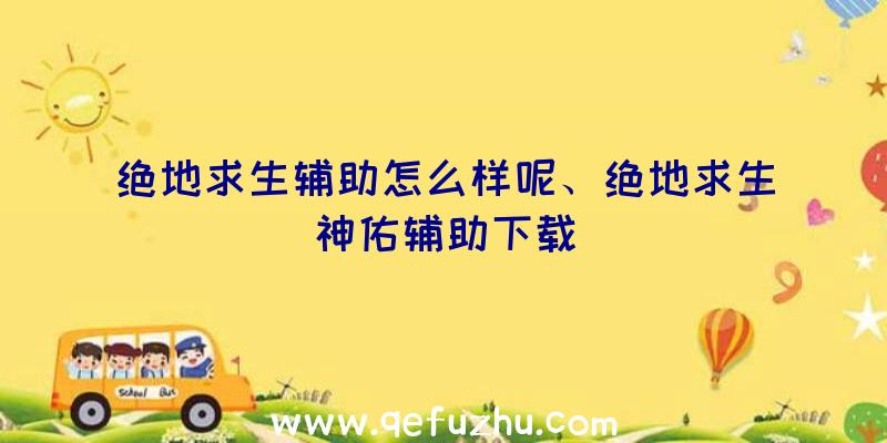 绝地求生辅助怎么样呢、绝地求生神佑辅助下载