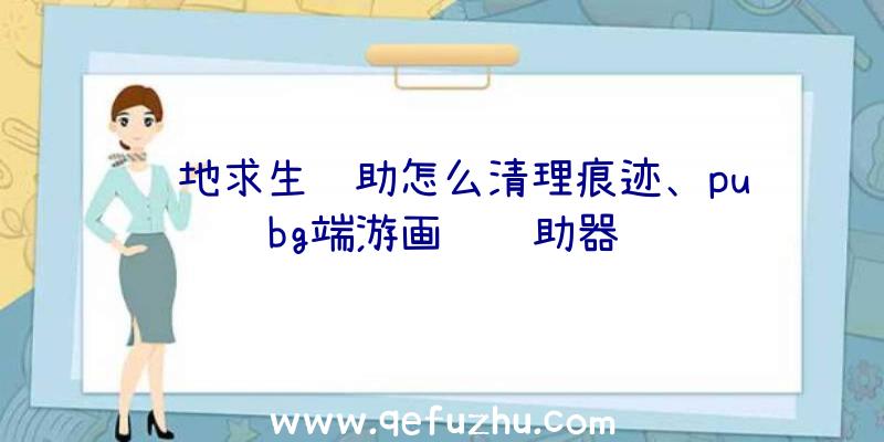 绝地求生辅助怎么清理痕迹、pubg端游画质辅助器