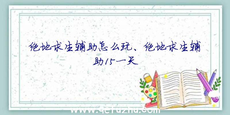 绝地求生辅助怎么玩、绝地求生辅助15一天