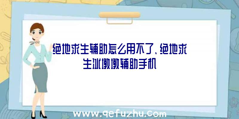 绝地求生辅助怎么用不了、绝地求生冰墩墩辅助手机