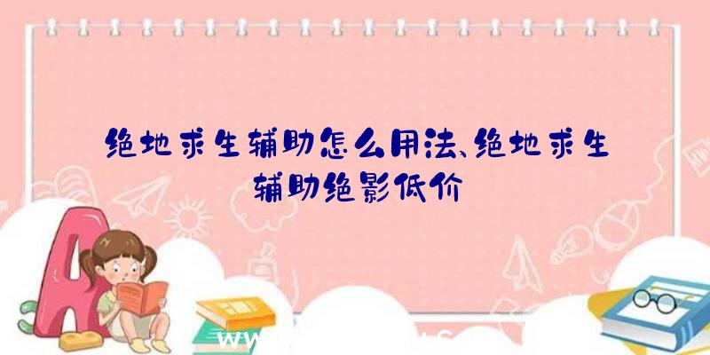 绝地求生辅助怎么用法、绝地求生辅助绝影低价