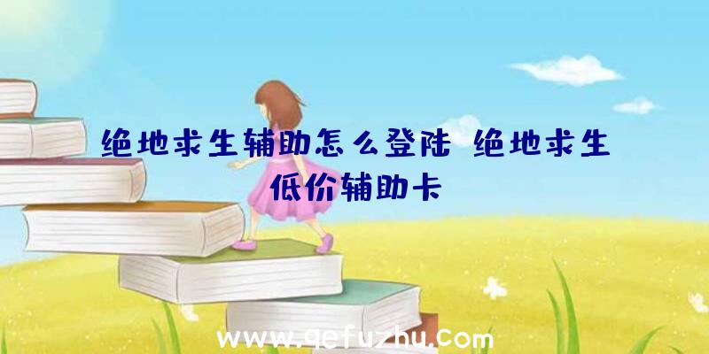 绝地求生辅助怎么登陆、绝地求生低价辅助卡