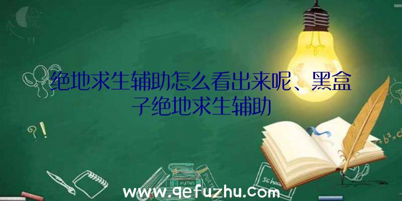 绝地求生辅助怎么看出来呢、黑盒子绝地求生辅助