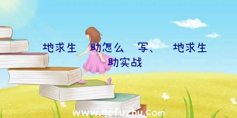 绝地求生辅助怎么编写、绝地求生辅助实战