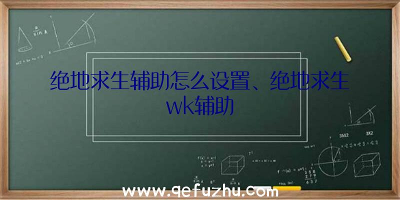 绝地求生辅助怎么设置、绝地求生wk辅助