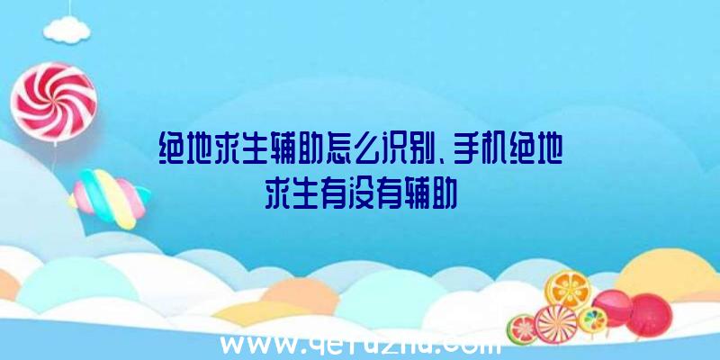 绝地求生辅助怎么识别、手机绝地求生有没有辅助