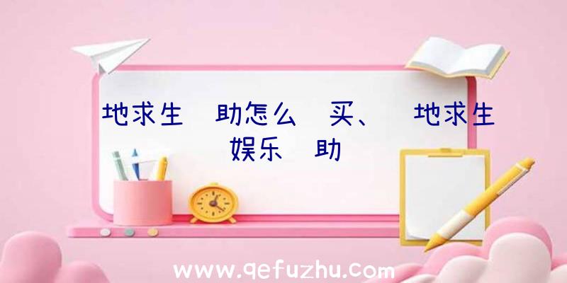 绝地求生辅助怎么购买、绝地求生娱乐辅助