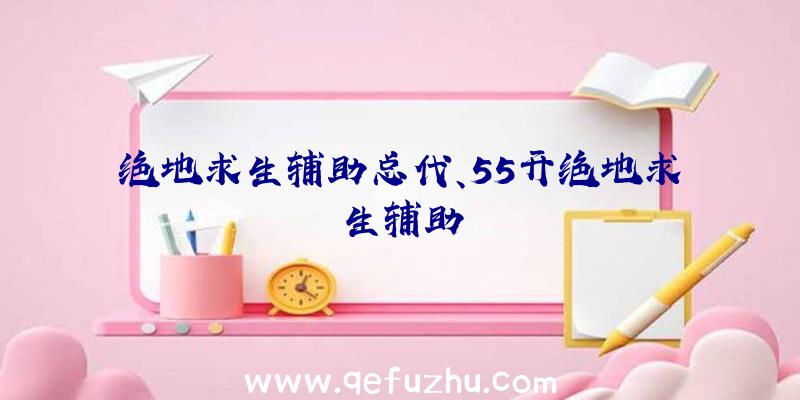 绝地求生辅助总代、55开绝地求生辅助