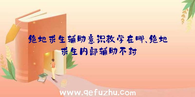 绝地求生辅助意识教学在哪、绝地求生内部辅助不封