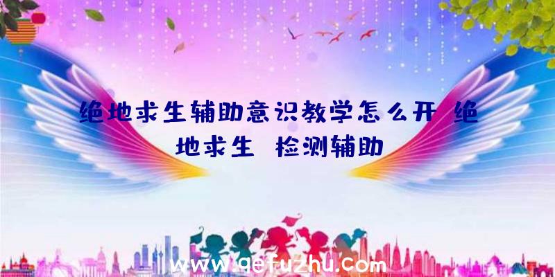 绝地求生辅助意识教学怎么开、绝地求生