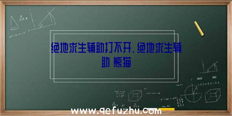 绝地求生辅助打不开、绝地求生辅助