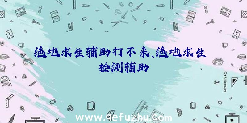 绝地求生辅助打不来、绝地求生