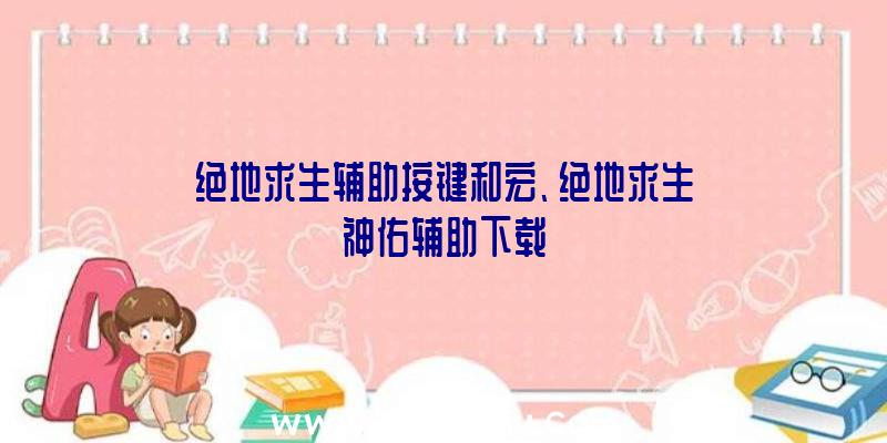 绝地求生辅助按键和宏、绝地求生神佑辅助下载