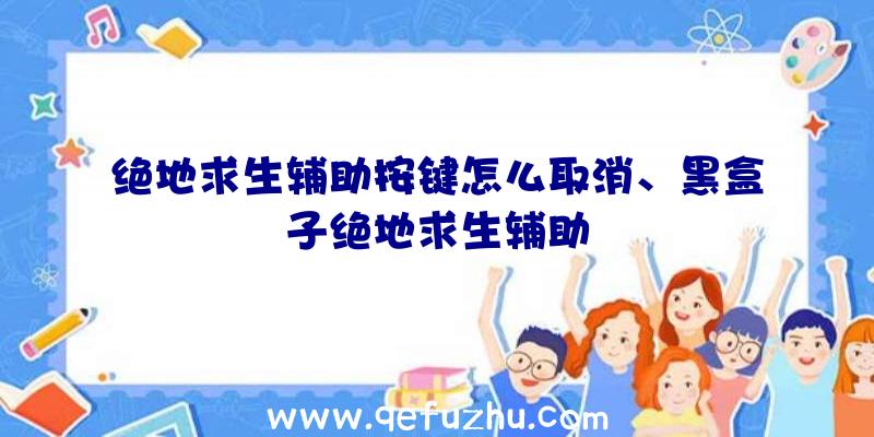 绝地求生辅助按键怎么取消、黑盒子绝地求生辅助