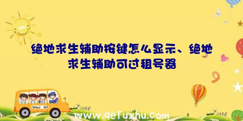 绝地求生辅助按键怎么显示、绝地求生辅助可过租号器