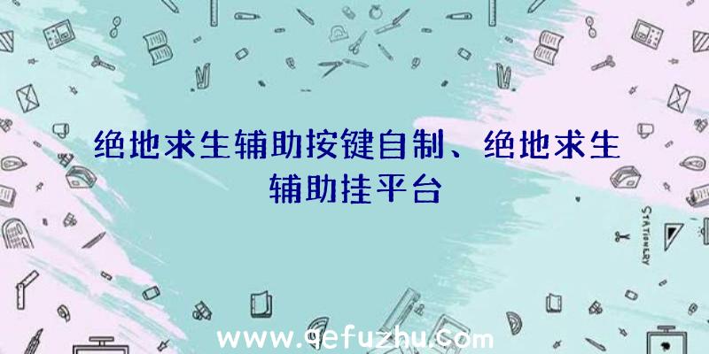 绝地求生辅助按键自制、绝地求生辅助挂平台