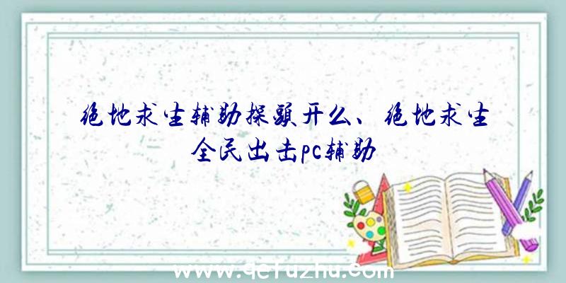 绝地求生辅助探头开么、绝地求生全民出击pc辅助