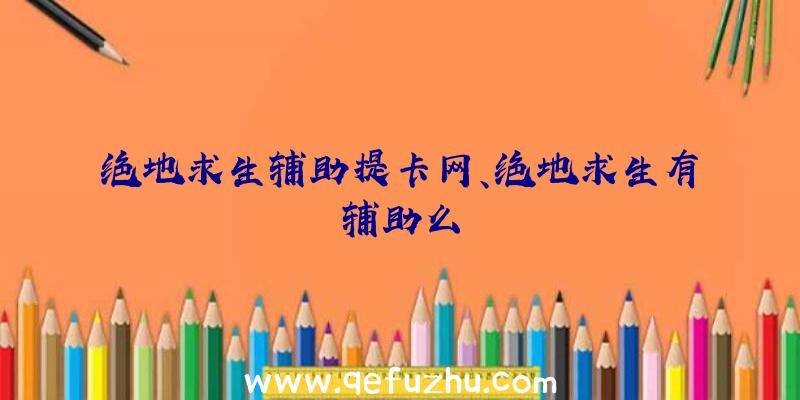 绝地求生辅助提卡网、绝地求生有辅助么