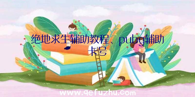 绝地求生辅助教程、pubg辅助卡号