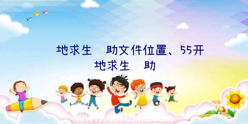 绝地求生辅助文件位置、55开绝地求生辅助