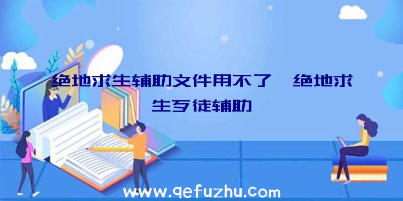 绝地求生辅助文件用不了、绝地求生歹徒辅助