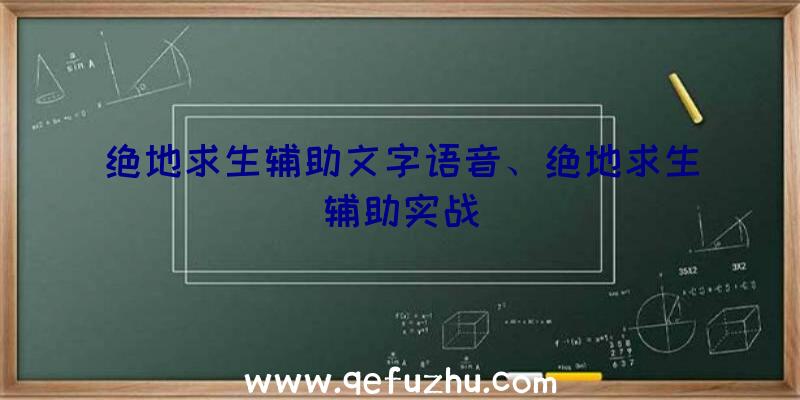 绝地求生辅助文字语音、绝地求生辅助实战