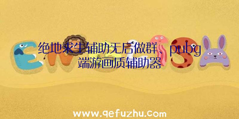 绝地求生辅助无后做群、pubg端游画质辅助器