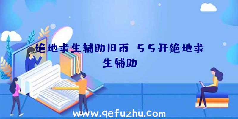 绝地求生辅助旧雨、55开绝地求生辅助