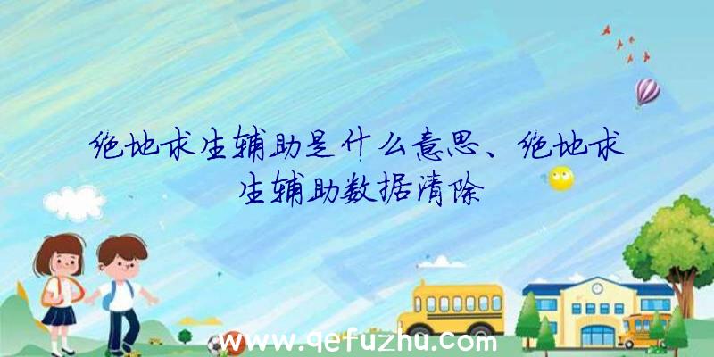 绝地求生辅助是什么意思、绝地求生辅助数据清除