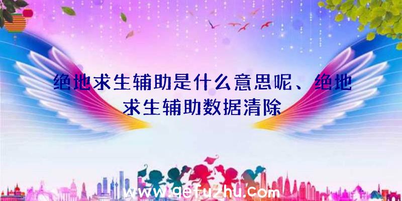 绝地求生辅助是什么意思呢、绝地求生辅助数据清除