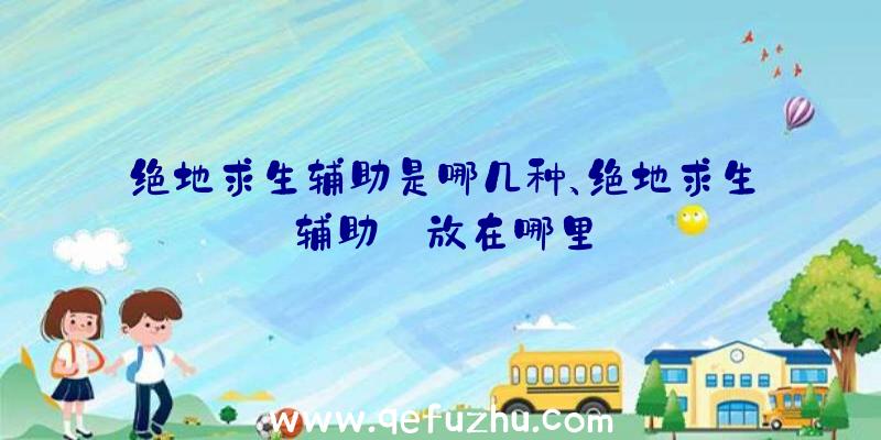 绝地求生辅助是哪几种、绝地求生辅助