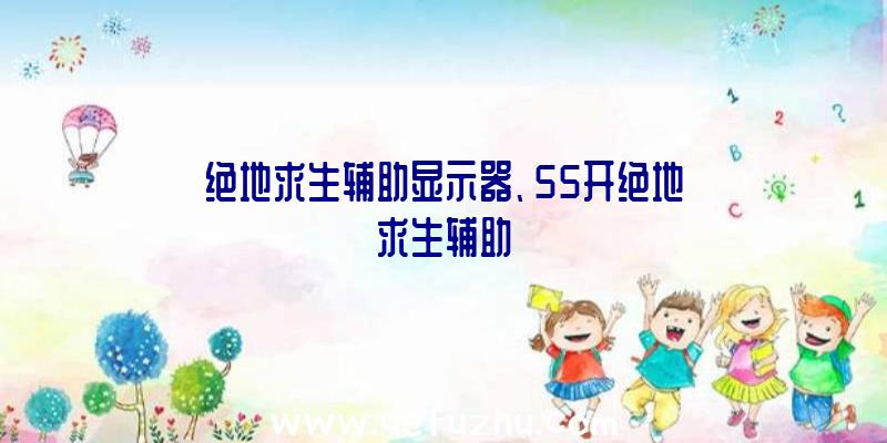 绝地求生辅助显示器、55开绝地求生辅助