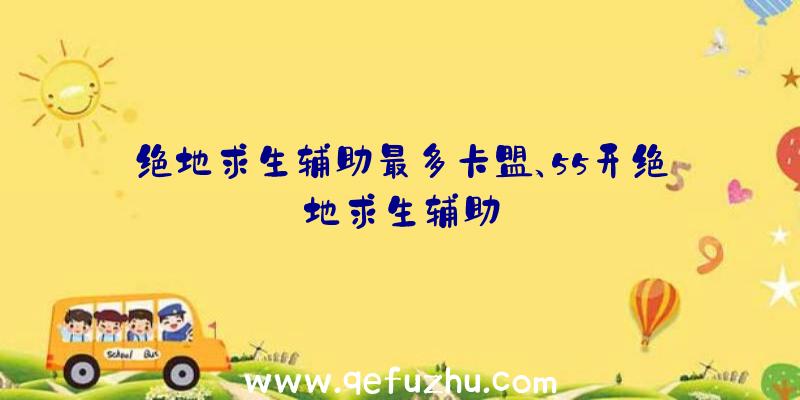 绝地求生辅助最多卡盟、55开绝地求生辅助