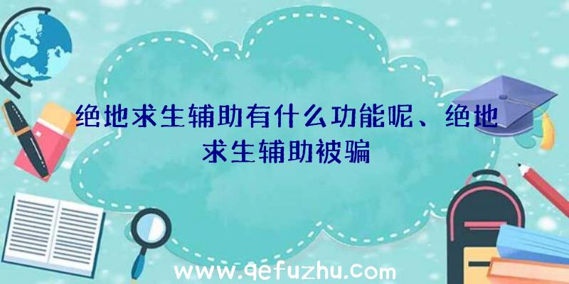 绝地求生辅助有什么功能呢、绝地求生辅助被骗