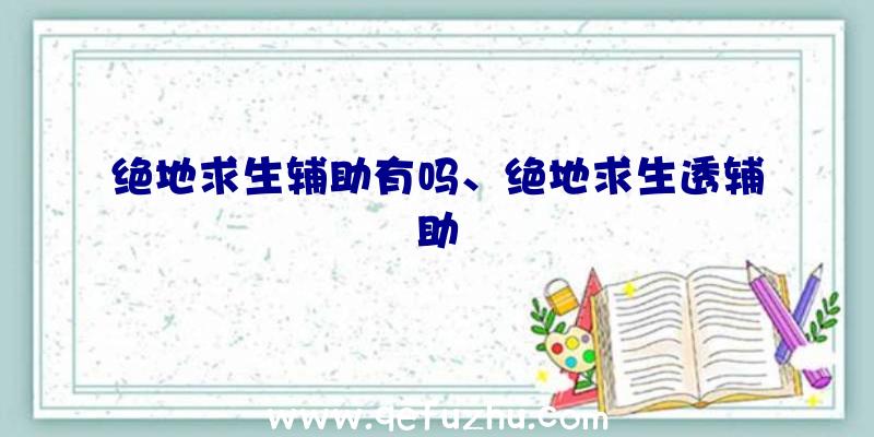 绝地求生辅助有吗、绝地求生透辅助