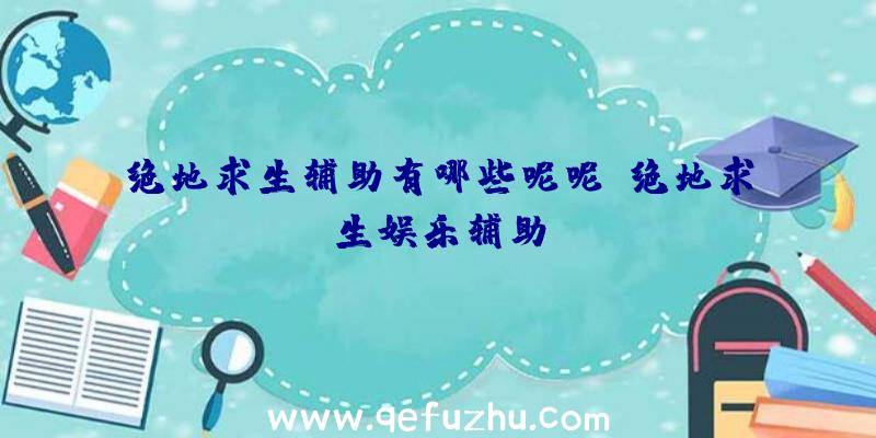 绝地求生辅助有哪些呢呢、绝地求生娱乐辅助