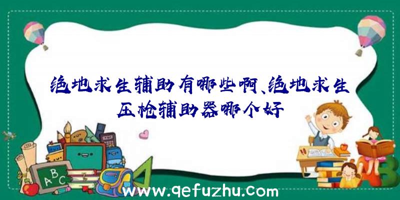 绝地求生辅助有哪些啊、绝地求生压枪辅助器哪个好