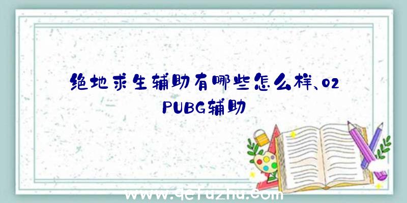 绝地求生辅助有哪些怎么样、02PUBG辅助