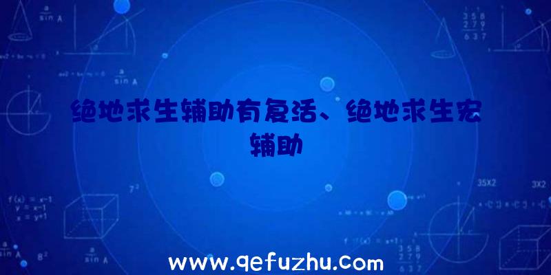 绝地求生辅助有复活、绝地求生宏辅助