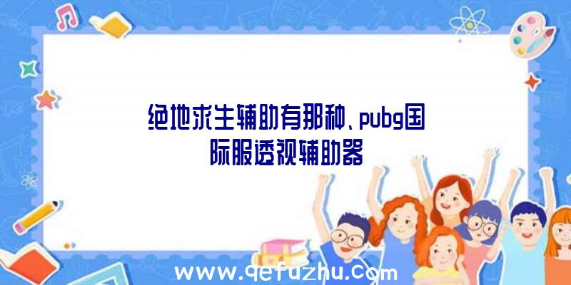 绝地求生辅助有那种、pubg国际服透视辅助器