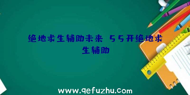 绝地求生辅助未来、55开绝地求生辅助