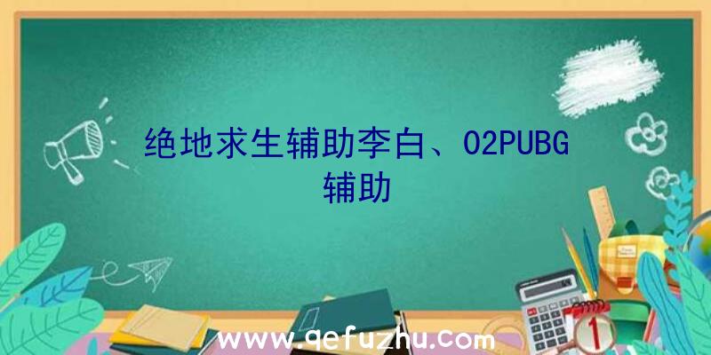 绝地求生辅助李白、02PUBG辅助