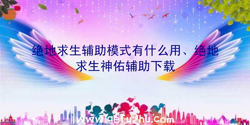 绝地求生辅助模式有什么用、绝地求生神佑辅助下载