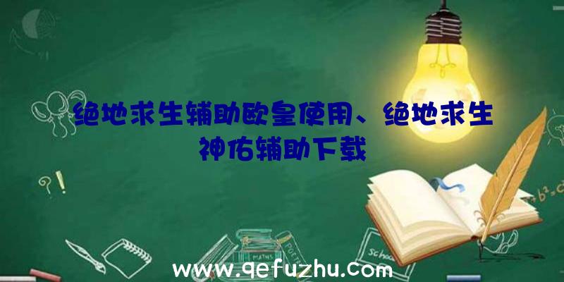 绝地求生辅助欧皇使用、绝地求生神佑辅助下载